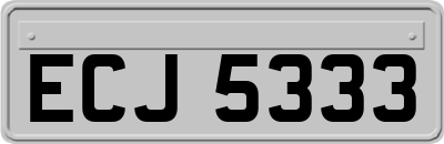ECJ5333