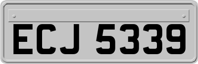 ECJ5339