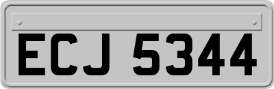 ECJ5344