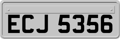 ECJ5356