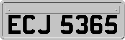 ECJ5365