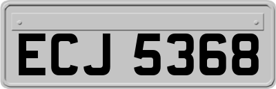ECJ5368