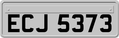 ECJ5373
