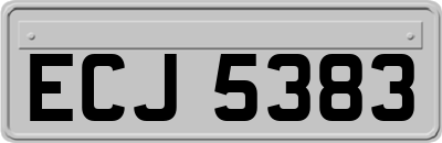 ECJ5383