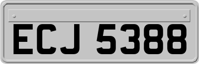 ECJ5388