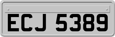 ECJ5389