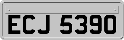 ECJ5390