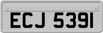 ECJ5391