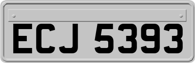 ECJ5393