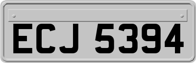 ECJ5394