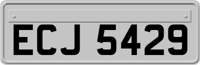 ECJ5429
