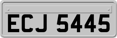 ECJ5445