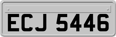ECJ5446