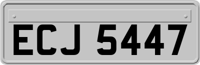 ECJ5447