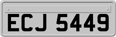 ECJ5449
