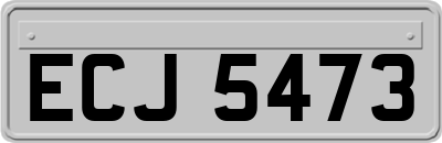 ECJ5473