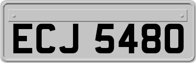 ECJ5480