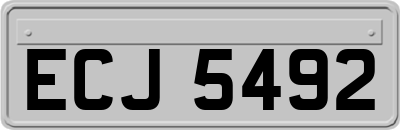 ECJ5492