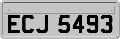 ECJ5493