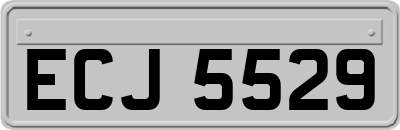 ECJ5529