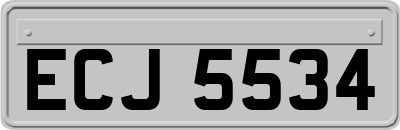 ECJ5534