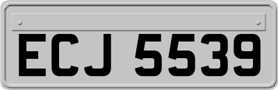 ECJ5539