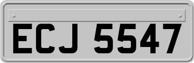 ECJ5547