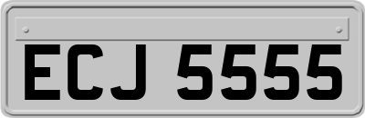 ECJ5555