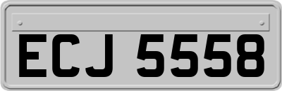 ECJ5558