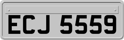 ECJ5559