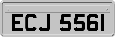 ECJ5561