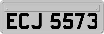 ECJ5573