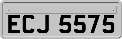 ECJ5575