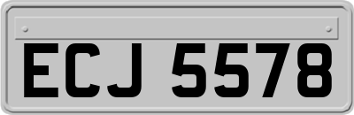 ECJ5578