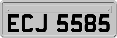 ECJ5585