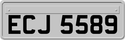 ECJ5589