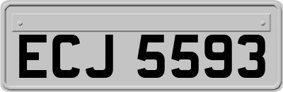 ECJ5593