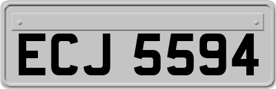 ECJ5594