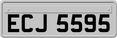 ECJ5595