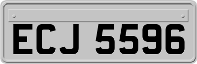 ECJ5596