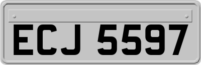 ECJ5597