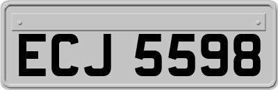 ECJ5598