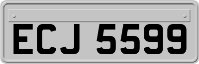 ECJ5599