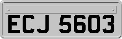 ECJ5603