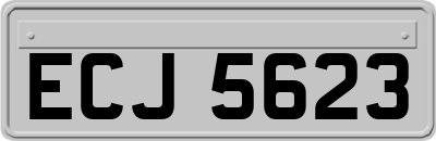 ECJ5623