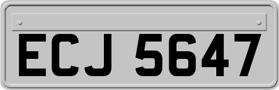 ECJ5647