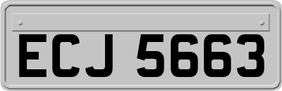 ECJ5663