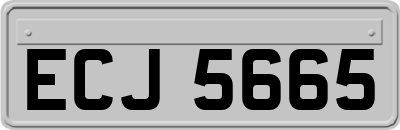ECJ5665