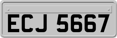 ECJ5667