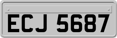 ECJ5687